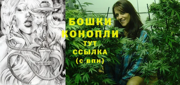 a pvp Белокуриха