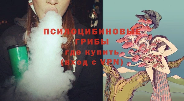 a pvp Белокуриха